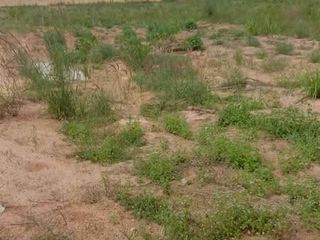 Продажа 1 кровать дом в Банг Ламунг, Чонбури