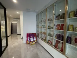 出租 办公室 在 Phra Khanong, 曼谷