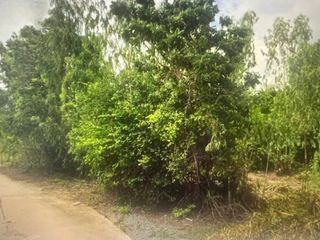 出售 土地 在 华欣, 班武里府