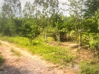 出售 土地 在 华欣, 班武里府