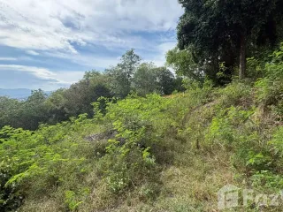 ขาย ที่ดิน ใน เกาะสมุย, สุราษฎร์ธานี