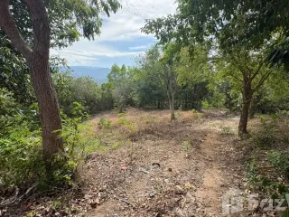 ขาย ที่ดิน ใน เกาะสมุย, สุราษฎร์ธานี