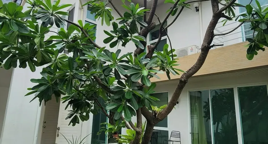 Casa en alquiler de 2 habitaciones en Watthana, Bangkok