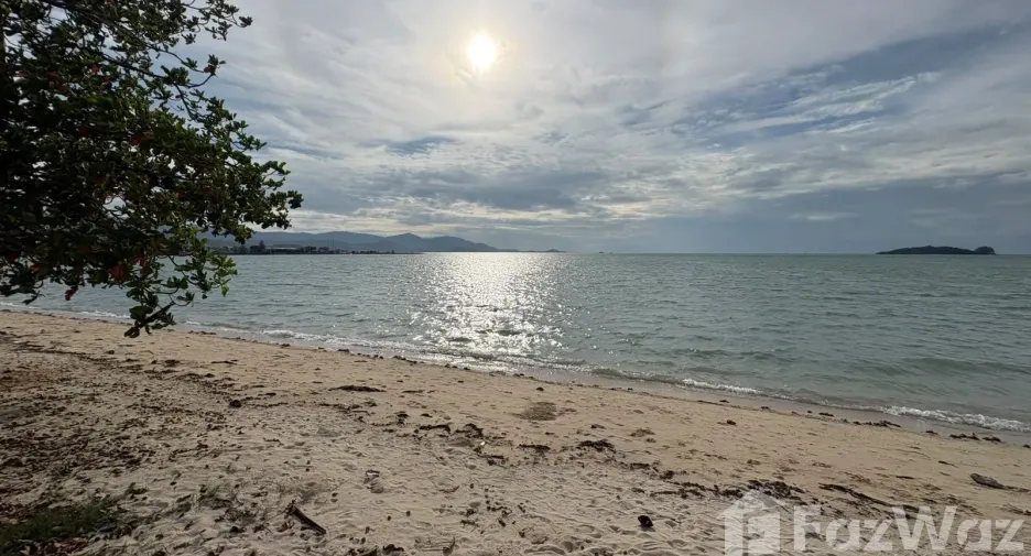 ขาย ที่ดิน ใน เกาะสมุย, สุราษฎร์ธานี