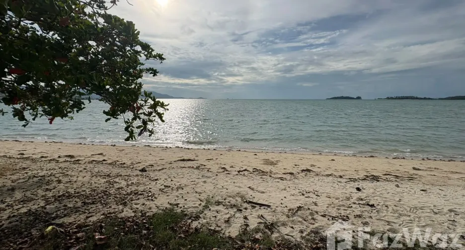 ขาย ที่ดิน ใน เกาะสมุย, สุราษฎร์ธานี