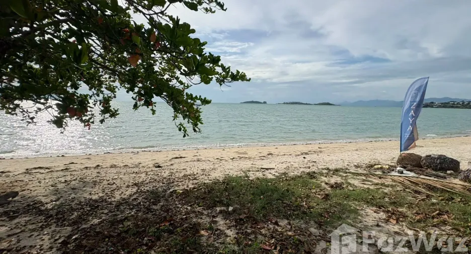 ขาย ที่ดิน ใน เกาะสมุย, สุราษฎร์ธานี