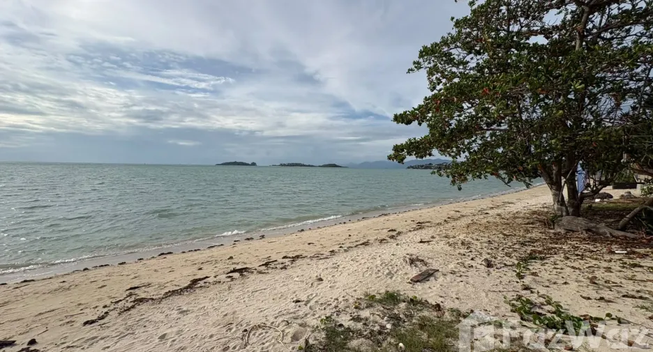 ขาย ที่ดิน ใน เกาะสมุย, สุราษฎร์ธานี