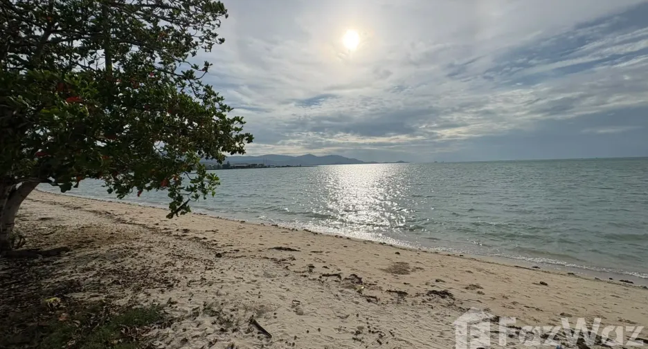 ขาย ที่ดิน ใน เกาะสมุย, สุราษฎร์ธานี