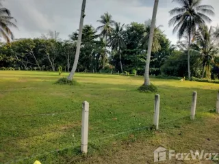 出售 土地 在 Thai Mueang, Phangnga