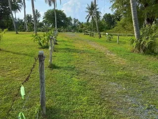 出售 土地 在 Thai Mueang, Phangnga
