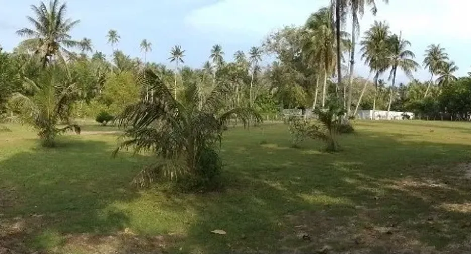 出售 土地 在 Thai Mueang, Phangnga