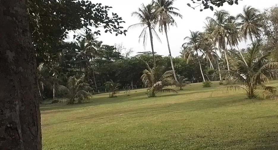 出售 土地 在 Thai Mueang, Phangnga