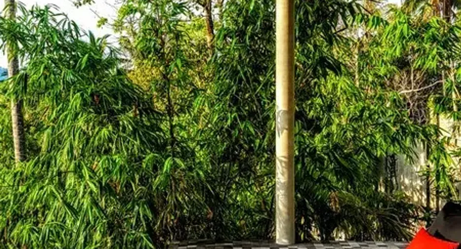 出售 3 卧室 别墅 在 苏梅岛, 素叻
