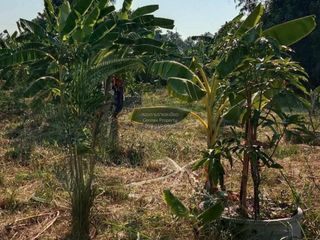 Продажа 1 кровать Участок в Банг Бон, Бангкок