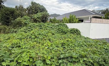 Продажа Участок в Самуи, Сураттани
