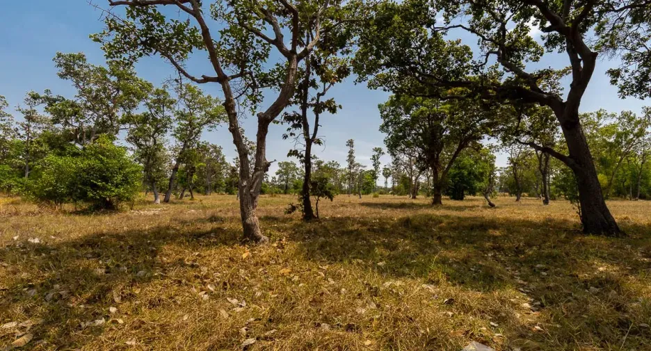 Terreno en venta en Warin Chamrap, Ubon Ratchathani