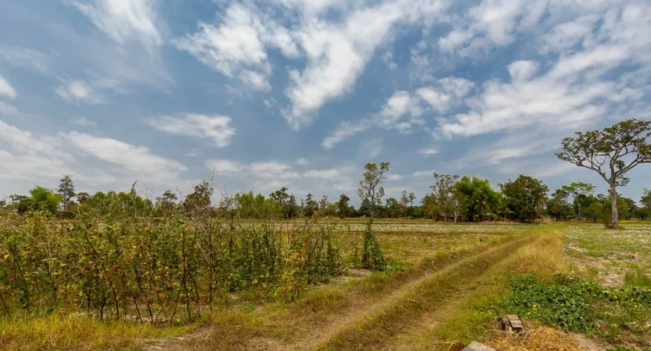 Terreno en venta en Warin Chamrap, Ubon Ratchathani
