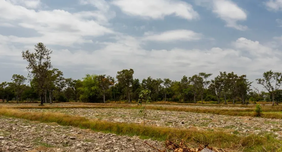 Terreno en venta en Warin Chamrap, Ubon Ratchathani