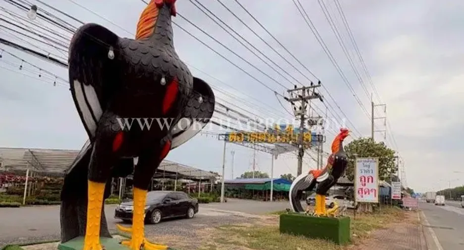 For sale land in Ongkharak, Nakhon Nayok
