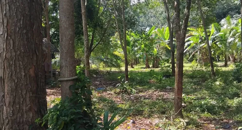 Terreno en venta en Khanom, Nakhon Si Thammarat