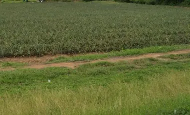À vendre terrain à Sam Roi Yot, Prachuap Khiri Khan