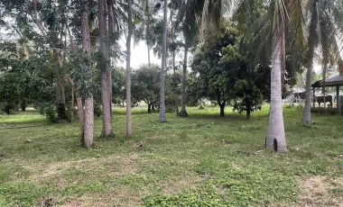 À vendre terrain à Sam Roi Yot, Prachuap Khiri Khan