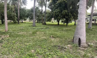 À vendre terrain à Sam Roi Yot, Prachuap Khiri Khan