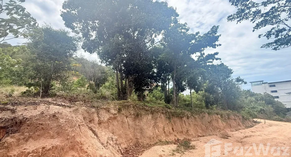出售 土地 在 苏梅岛, 素叻