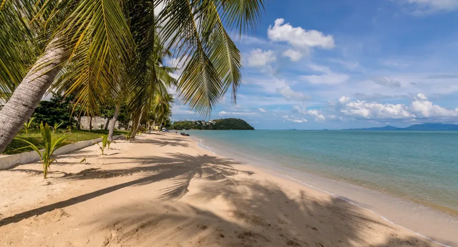 Villa zum Kauf und zur Miete mit 3 Zimmer in Ko Samui, Surat Thani