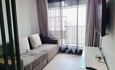 For rent 1 bed condo 
