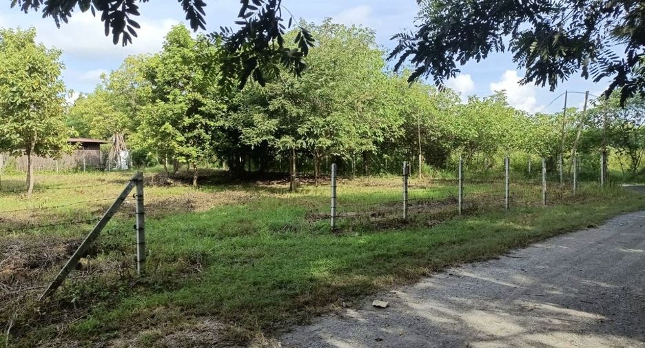 For sale land in Hang Dong, Chiang Mai
