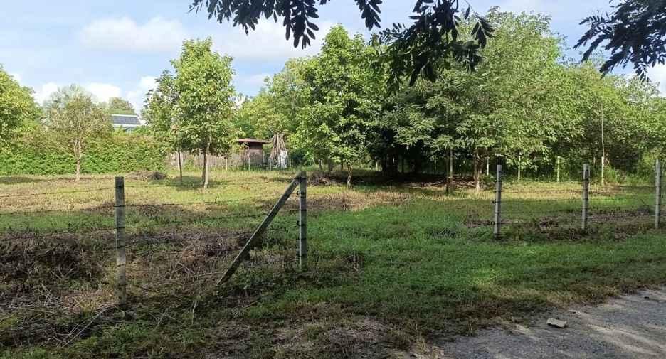 For sale land in Hang Dong, Chiang Mai