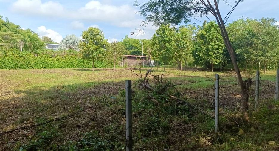 For sale land in Hang Dong, Chiang Mai