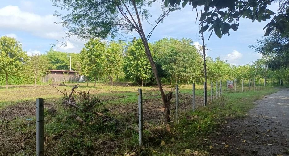 For sale land in Hang Dong, Chiang Mai