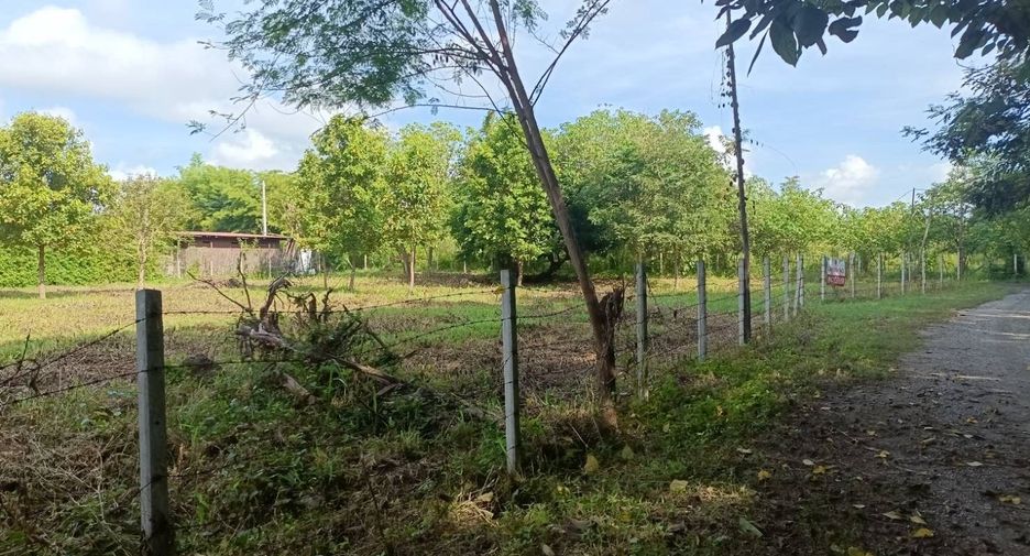 For sale land in Hang Dong, Chiang Mai