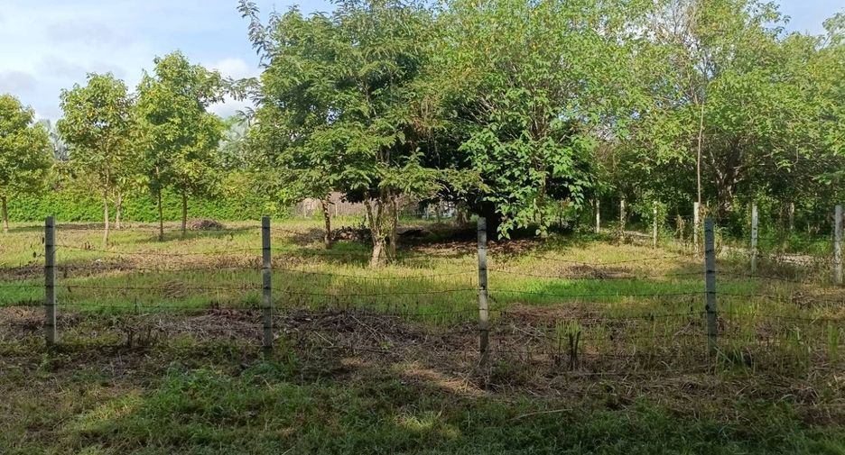 For sale land in Hang Dong, Chiang Mai