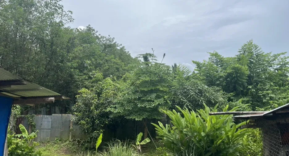 For sale 4 bedrooms house in Mueang Phrae, Phrae