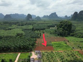 For sale land in Mueang Krabi, Krabi