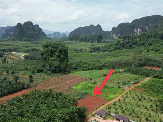 For sale land in Mueang Krabi, Krabi