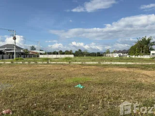 For sale land in San Sai, Chiang Mai