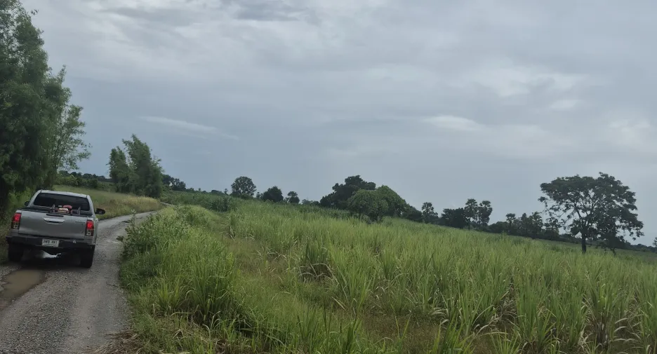 出售 土地 在 Dan Khun Thot, Nakhon Ratchasima