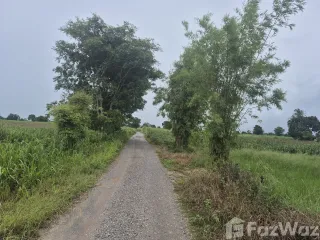 出售 土地 在 Dan Khun Thot, Nakhon Ratchasima