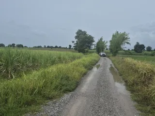 出售 土地 在 Dan Khun Thot, Nakhon Ratchasima