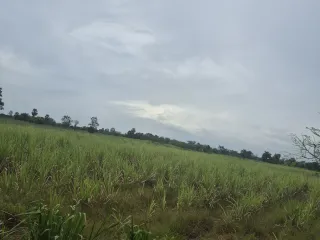 出售 土地 在 Dan Khun Thot, Nakhon Ratchasima