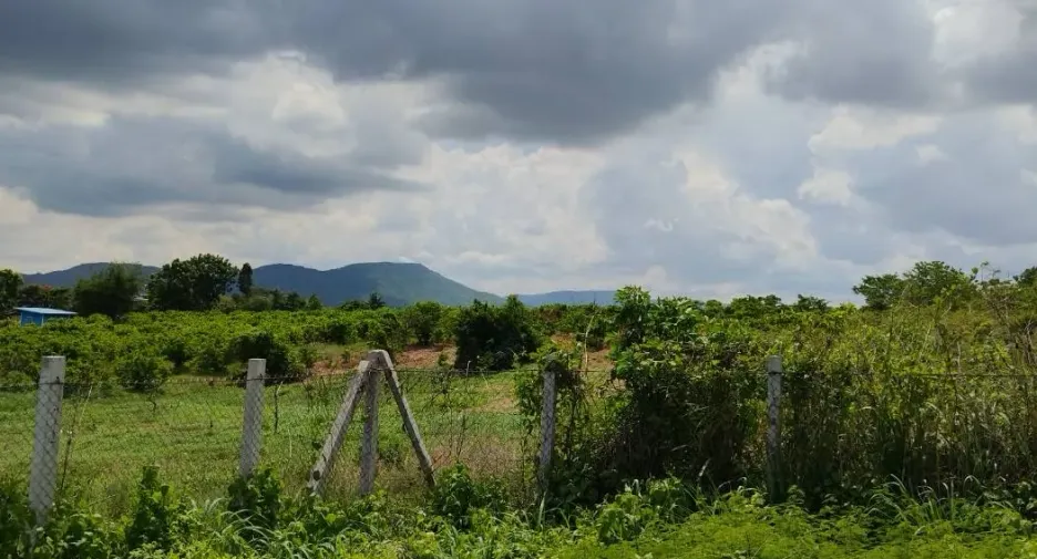 À vendre terrain à Pak Chong, Nakhon Ratchasima