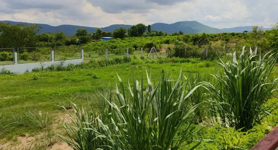 À vendre terrain à Pak Chong, Nakhon Ratchasima