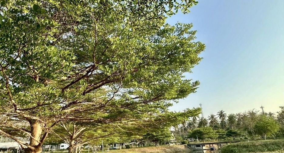 Grundstück zum Kauf in Mueang Prachuap Khiri Khan, Prachuap Khiri Khan