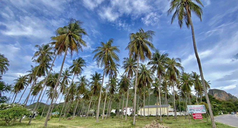 Grundstück zum Kauf in Mueang Prachuap Khiri Khan, Prachuap Khiri Khan