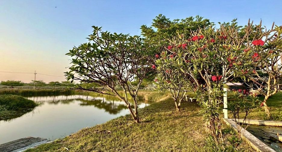 Grundstück zum Kauf in Mueang Prachuap Khiri Khan, Prachuap Khiri Khan