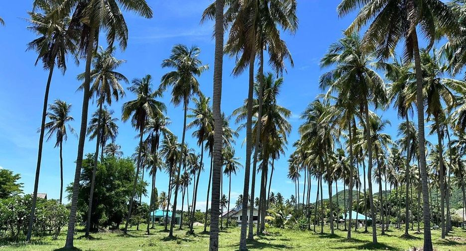 Grundstück zum Kauf in Mueang Prachuap Khiri Khan, Prachuap Khiri Khan